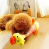 Pet Dog Toy Squeak Plush Toy For Dogs Supplies Fit for All Puppy Pet Sound Toy Funny Durable Chew Molar Toy Pets Supplies - Image 6