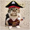 Funny Cat Pirate Costume - Image 4