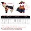 Funny Cat Pirate Costume - Image 6