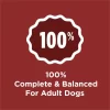 Purina Dog Chow Beef Flavor Dry Dog Food, 44 lb Bag - Image 3