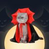 Halloween Vampire Costume - Image 5