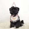 Pet Birthday Bandana and Hats Set Dog  or Cat Birthday - Image 5