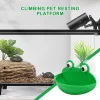 Frog Dish Holder - Image 4