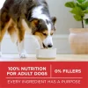 Purina One Dry Dog Food High Protein Microbiome Balance,, Real Lamb & Rice, 31.1 lb Bag - Image 5