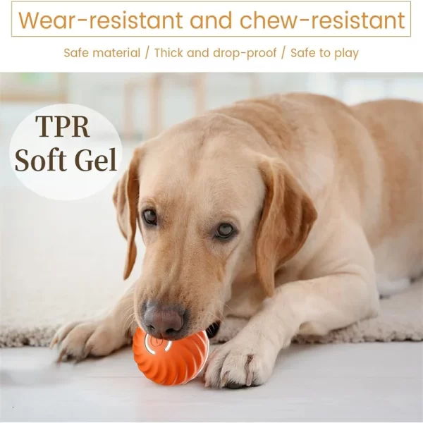 Interractive Motion Activated Rolling Ball Dog Toy - Image 3