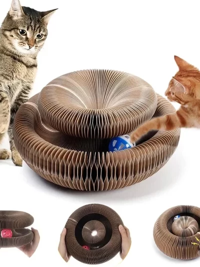 Magic Organ Cat scratching Board