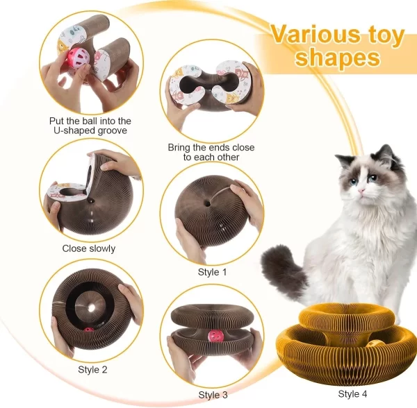 Magic Organ Cat scratching Board - Image 4