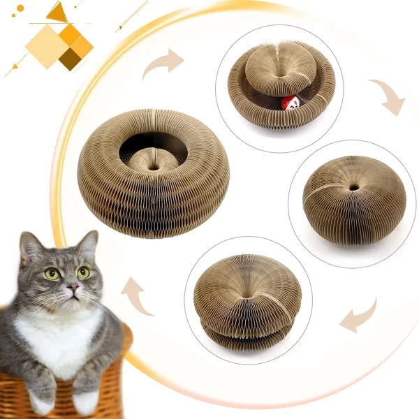 Magic Organ Cat scratching Board - Image 2