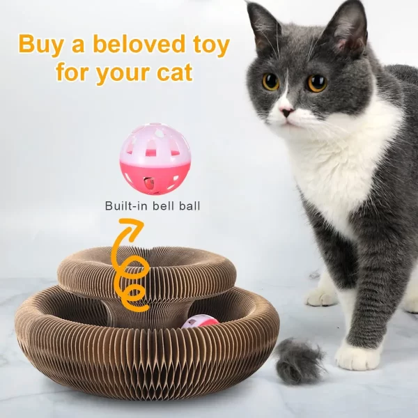 Magic Organ Cat scratching Board - Image 3