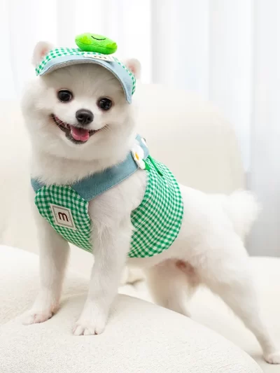 Cute Pet Outfit Set – 3-in-1 Harness, Leash & Cap