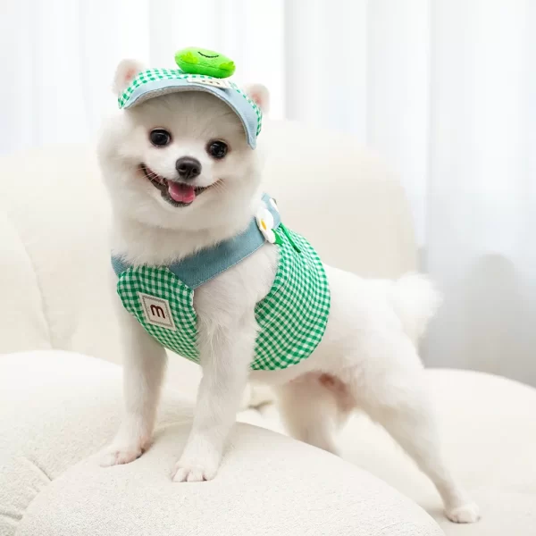Cute Pet Outfit Set – 3-in-1 Harness, Leash & Cap