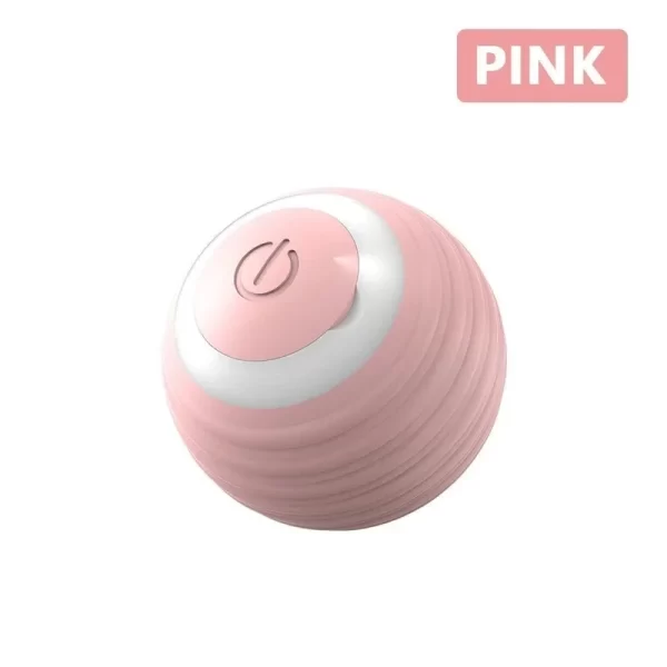 Rollraptor Interactive Pet Toy Ball - Image 7
