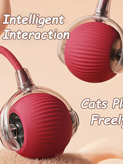Rollraptor Interactive Pet Toy Ball