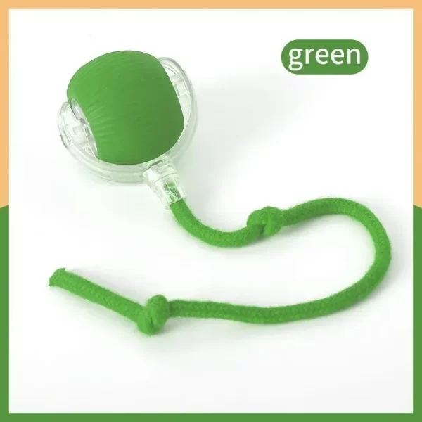 Rollraptor Interactive Pet Toy Ball - Image 5