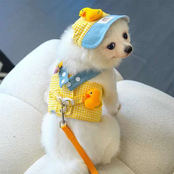 Cute Pet Outfit Set – 3-in-1 Harness, Leash & Cap - Image 2
