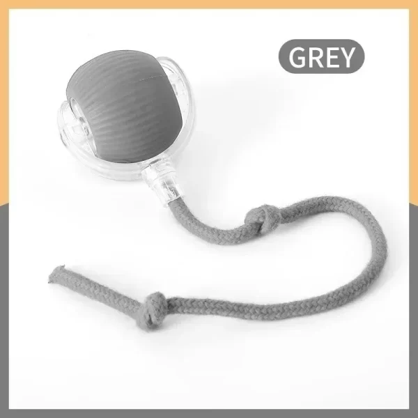 Rollraptor Interactive Pet Toy Ball - Image 4