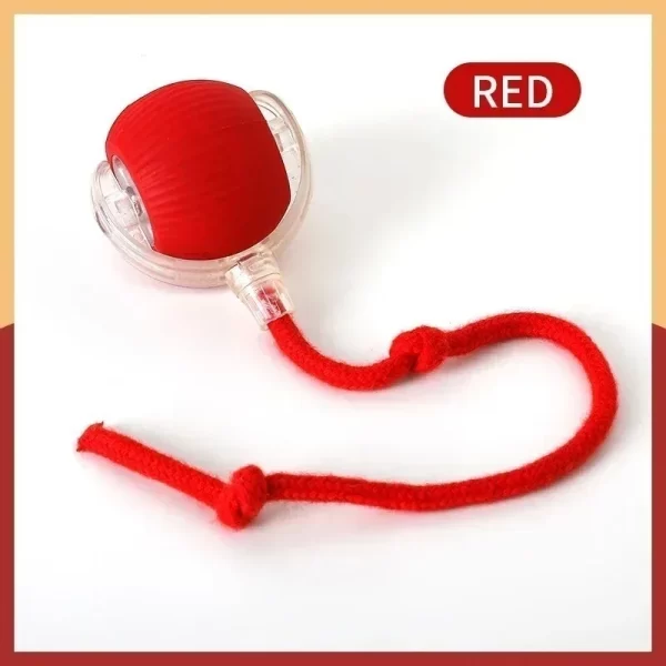 Rollraptor Interactive Pet Toy Ball - Image 6